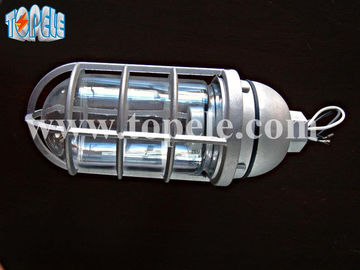 100W 220V ブラウングレー IP65 蒸気防止ライト